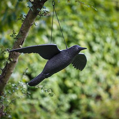 Effaroucheur d'oiseaux corbeau