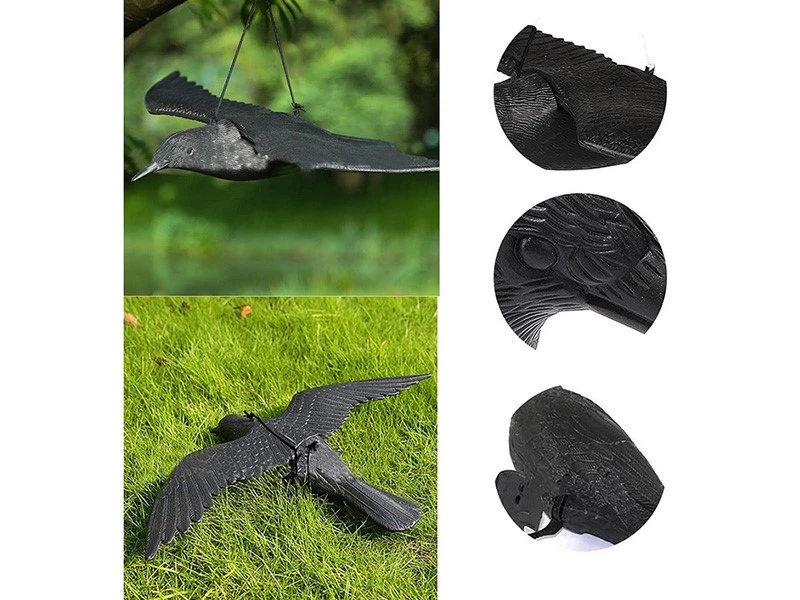 product-800-600 product-800-600